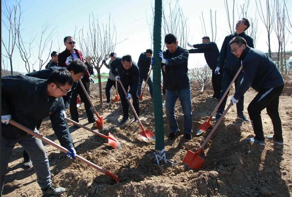 DB真人旗舰·(中国)集团