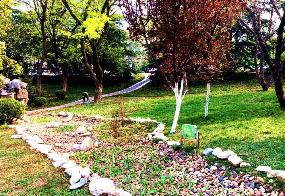 DB真人旗舰·(中国)集团